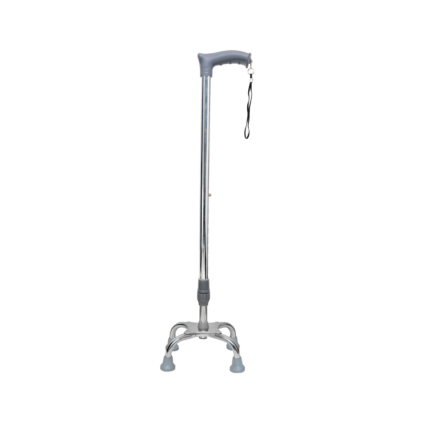 Walking Stick Adult